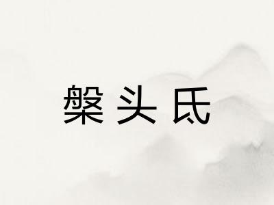 槃头氐