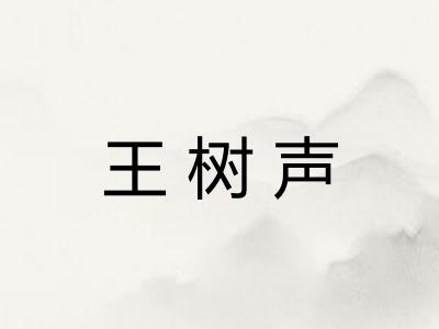 王树声