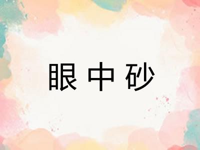 眼中砂