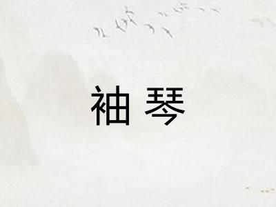 袖琴
