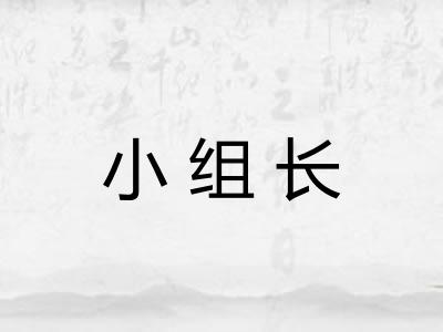 小组长