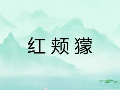 红颊獴