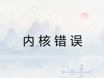 内核错误
