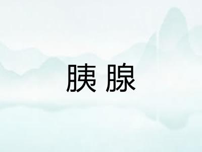 胰腺