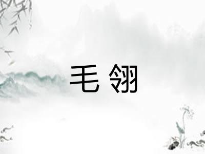 毛翎
