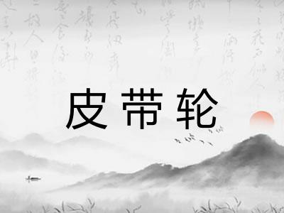 皮带轮