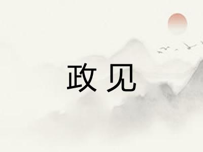 政见