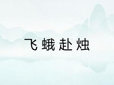 飞蛾赴烛 飞蛾赴烛
