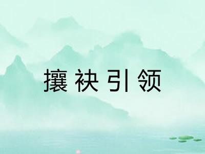 攘袂引领