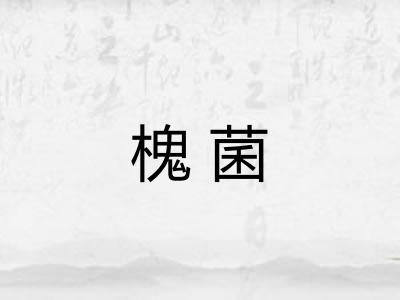槐菌