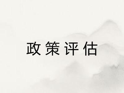 政策评估