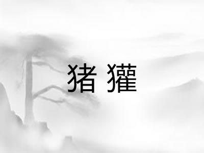 猪獾