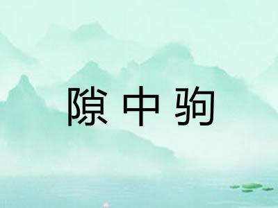 隙中驹