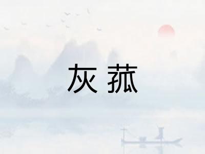 灰菰