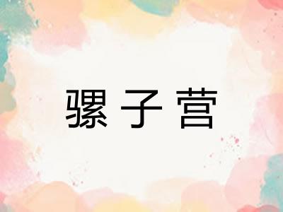 骡子营
