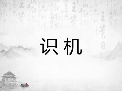 识机