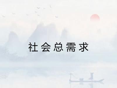 社会总需求
