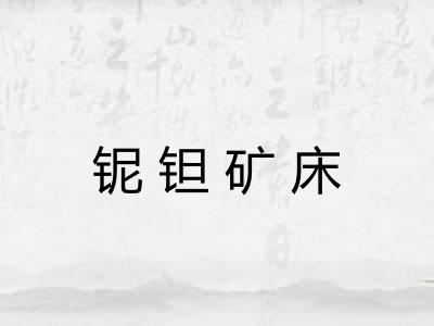 铌钽矿床