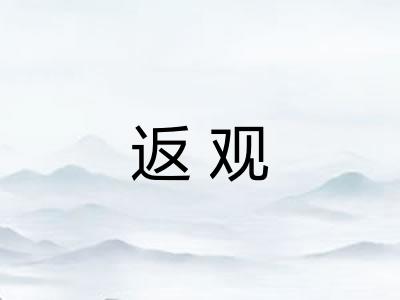 返观 返观