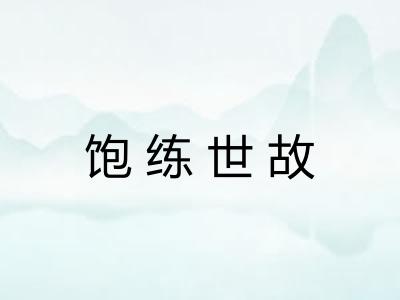 饱练世故