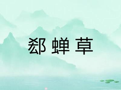 郄蝉草