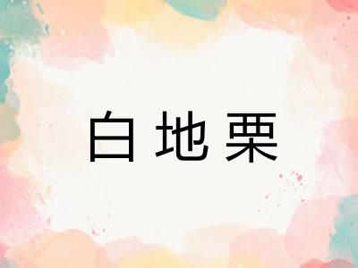 白地栗