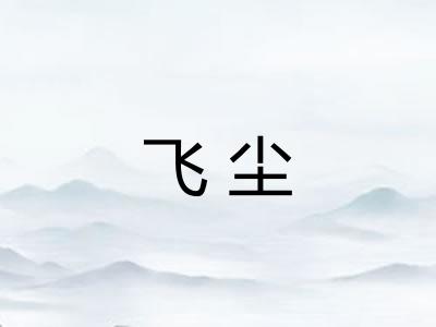 飞尘