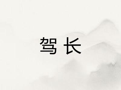 驾长 驾长