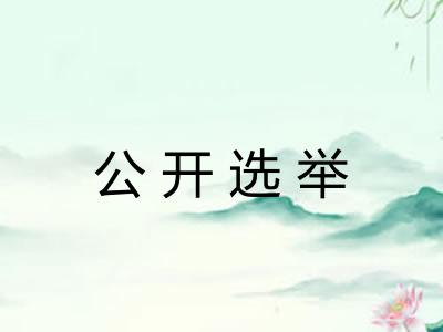 公开选举