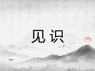 见识