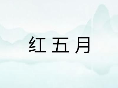 红五月