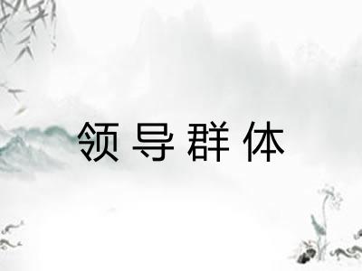 领导群体