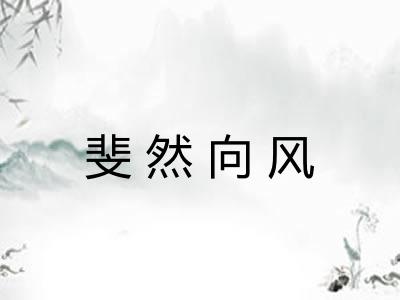 斐然向风