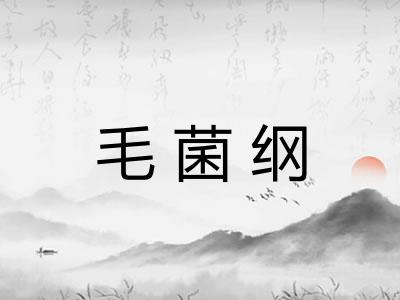 毛菌纲