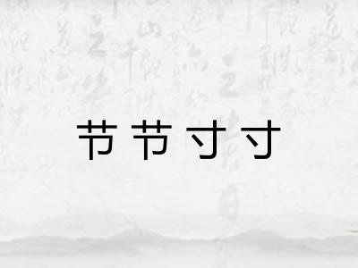 节节寸寸