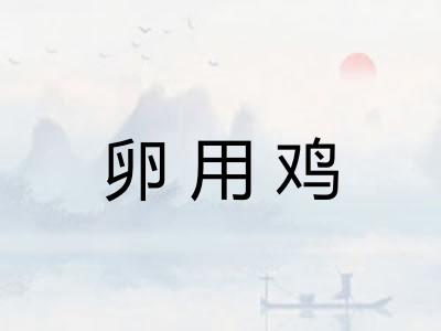 卵用鸡