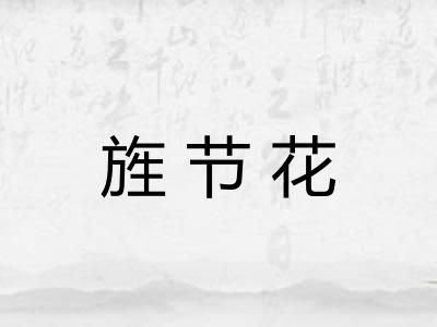 旌节花