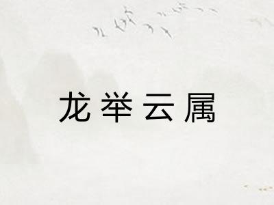 龙举云属
