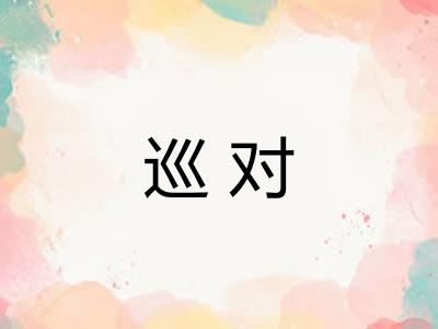 巡对