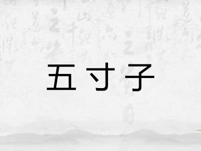 五寸子