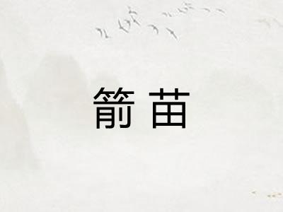 箭苗