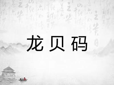 龙贝码