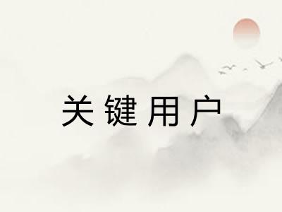 关键用户