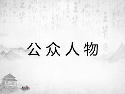 公众人物