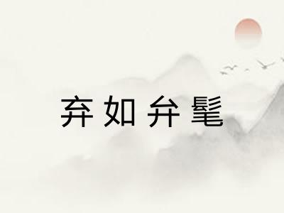 弃如弁髦