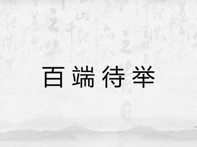 百端待举
