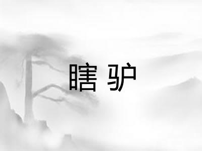 瞎驴