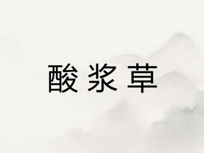 酸浆草