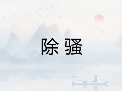 除骚