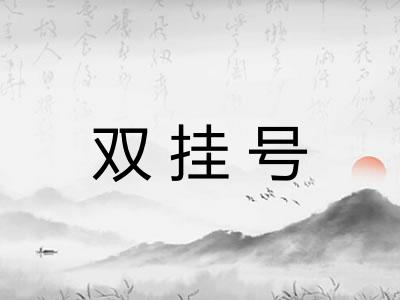 双挂号
